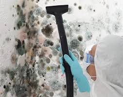 Best Basement Mold Removal in Oelwein, IA